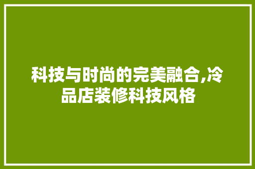 科技与时尚的完美融合,冷品店装修科技风格