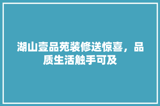湖山壹品苑装修送惊喜，品质生活触手可及