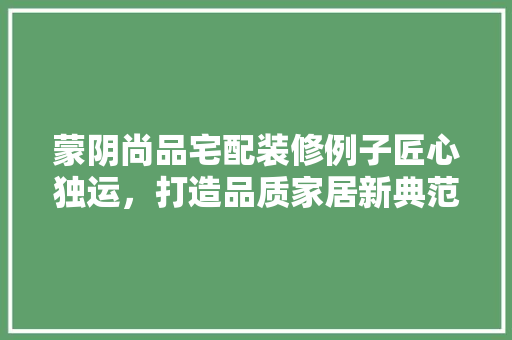 蒙阴尚品宅配装修例子匠心独运，打造品质家居新典范
