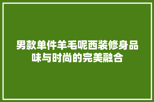男款单件羊毛呢西装修身品味与时尚的完美融合