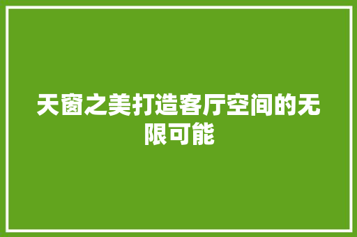 天窗之美打造客厅空间的无限可能