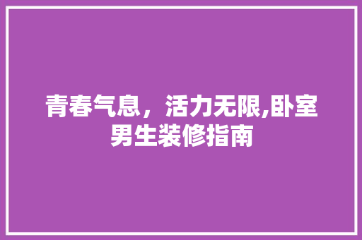 青春气息，活力无限,卧室男生装修指南  第1张