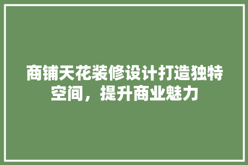 商铺天花装修设计打造独特空间，提升商业魅力