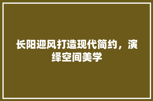 长阳迎风打造现代简约，演绎空间美学  第1张