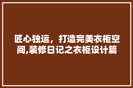 匠心独运，打造完美衣柜空间,装修日记之衣柜设计篇