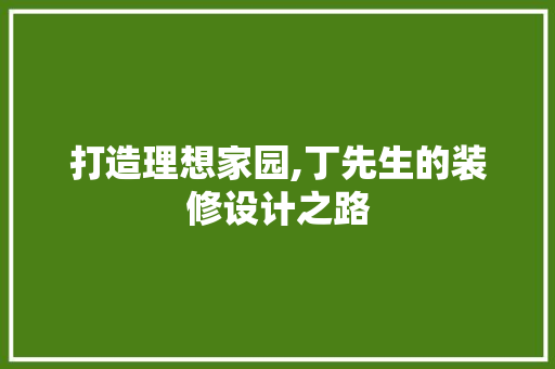 打造理想家园,丁先生的装修设计之路