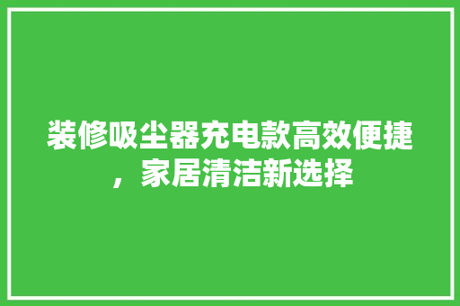 装修吸尘器充电款高效便捷，家居清洁新选择
