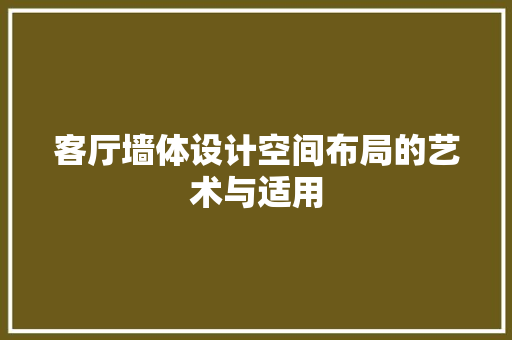 客厅墙体设计空间布局的艺术与适用