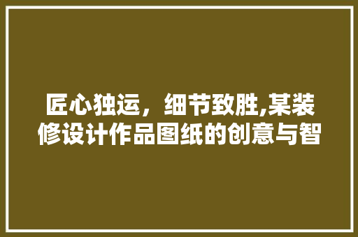 匠心独运，细节致胜,某装修设计作品图纸的创意与智慧