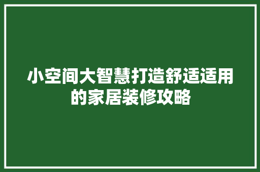 小空间大智慧打造舒适适用的家居装修攻略