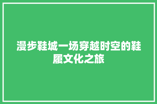漫步鞋城一场穿越时空的鞋履文化之旅
