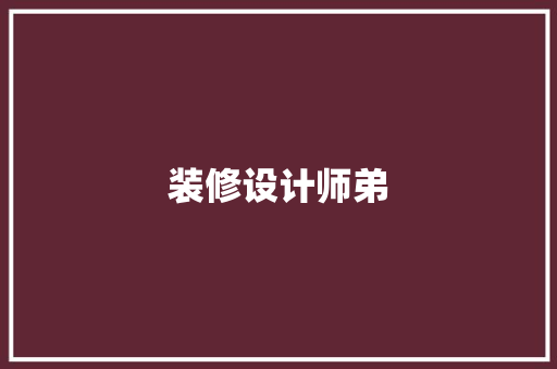 装修设计师弟