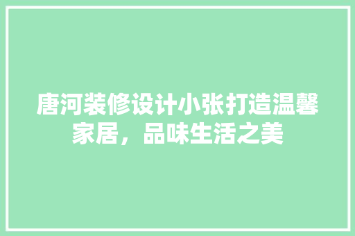 唐河装修设计小张打造温馨家居，品味生活之美