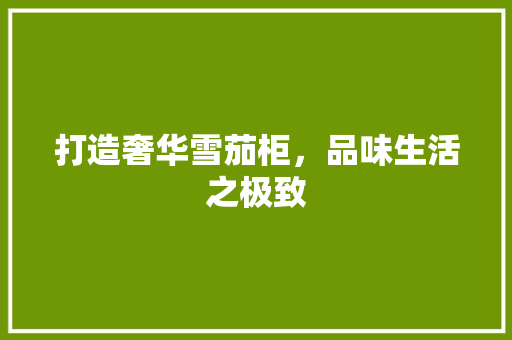打造奢华雪茄柜，品味生活之极致
