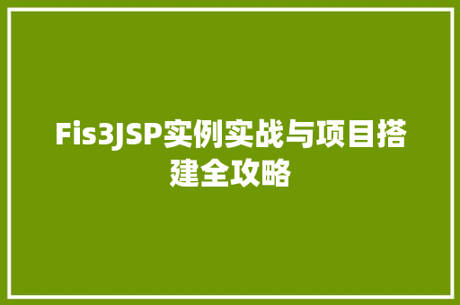 Fis3JSP实例实战与项目搭建全攻略