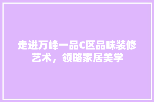 走进万峰一品C区品味装修艺术，领略家居美学