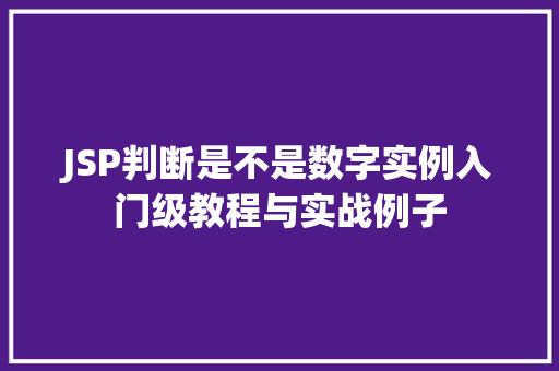 JSP判断是不是数字实例入门级教程与实战例子